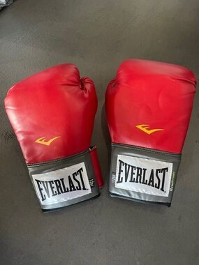 Everlast Red Training Boxing Gloves 12 Oz